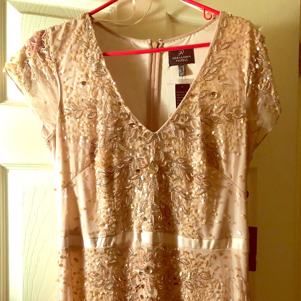Blush Beaded Adrianna Papell Gown Size 12